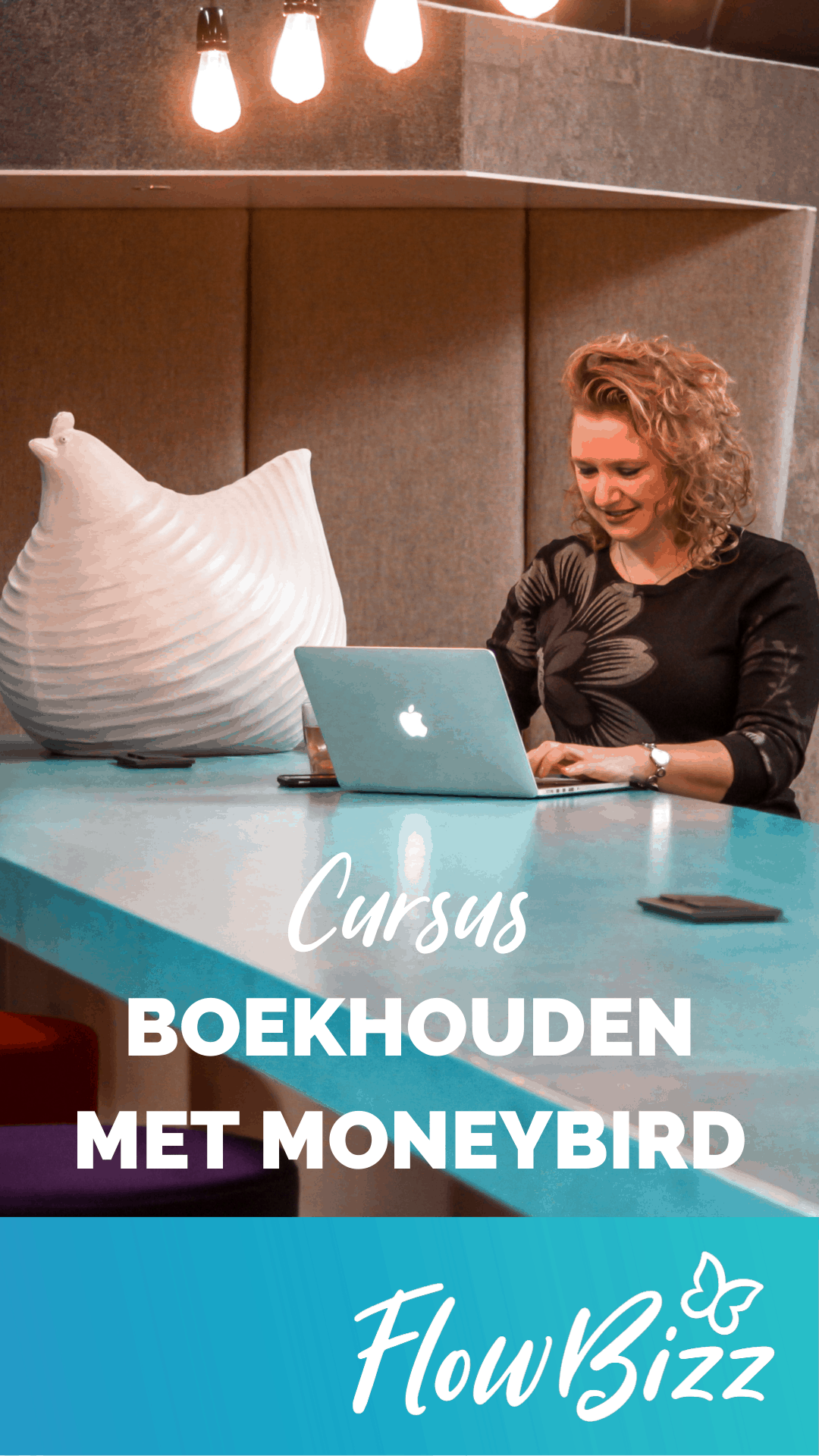 Stories Online Cursus Boekhouden Met Moneybird Flowbizz 2